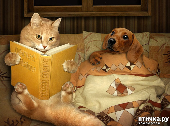 ���� 24: ��� ����� � ������� �����?