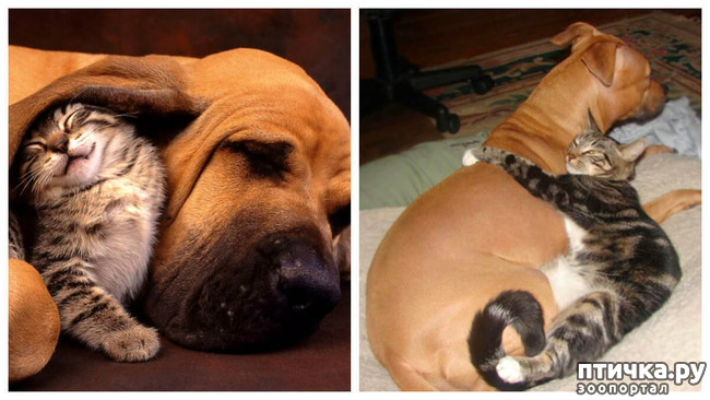 ���� 25: ��� ����� � ������� �����?