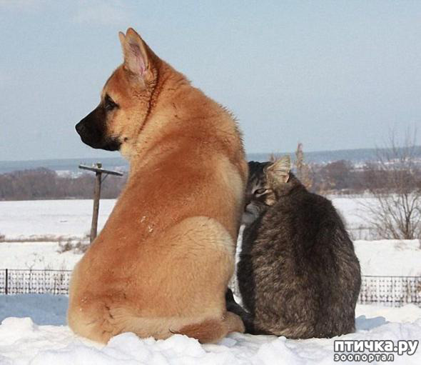 ���� 26: ��� ����� � ������� �����?