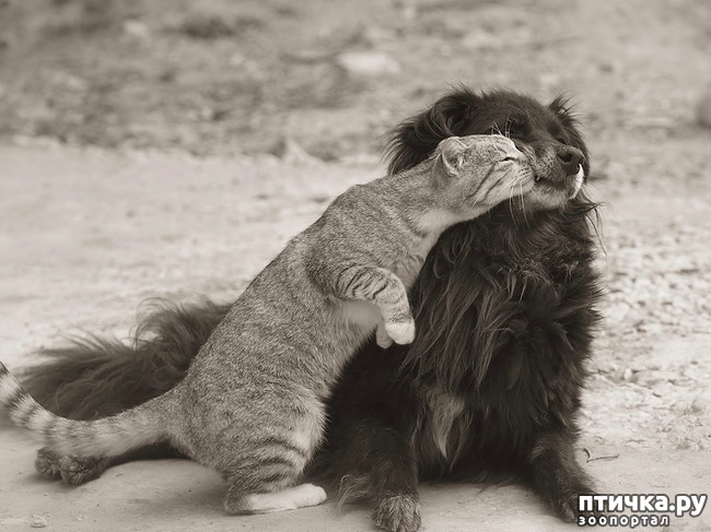 ���� 27: ��� ����� � ������� �����?