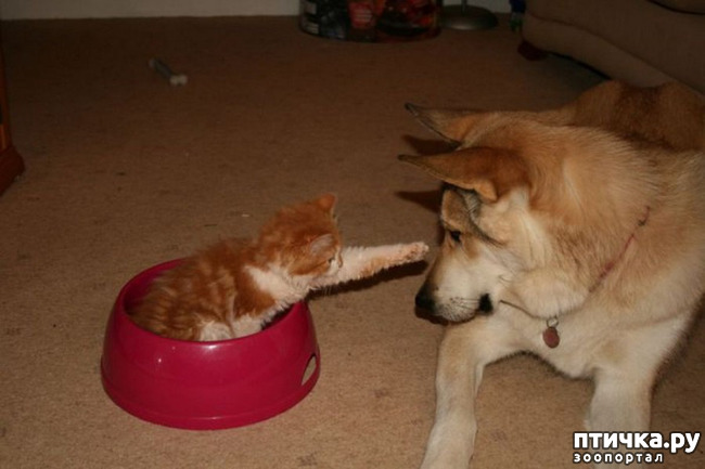 ���� 29: ��� ����� � ������� �����?