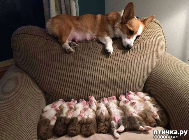 ���� 30: ��� ����� � ������� �����?