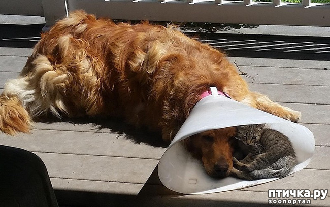 ���� 32: ��� ����� � ������� �����?