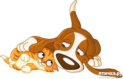 ���� 33: ��� ����� � ������� �����?