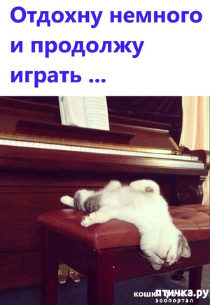 ����: ������