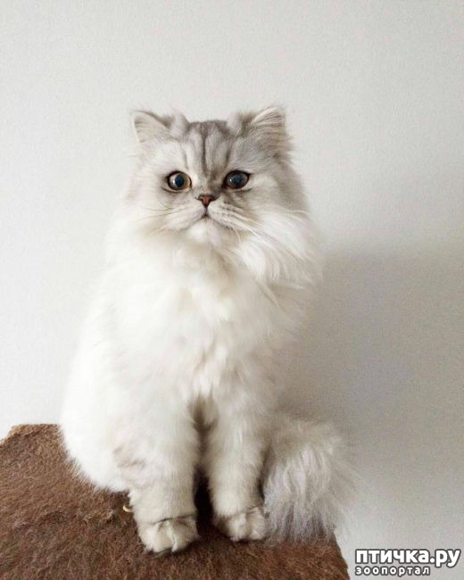 ���� 1: ���� (������� ������� ��������)