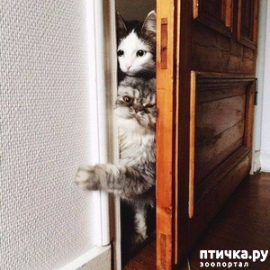 ����: ������ ��� ���� ������� ������ ���� � ����� ����, ��� �� �������.