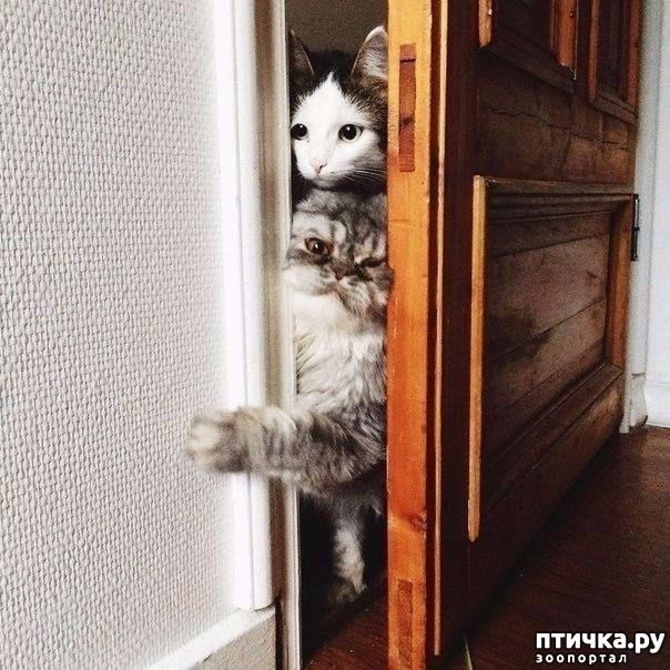 ���� 1: ������ ��� ���� ������� ������ ���� � ����� ����, ��� �� �������.