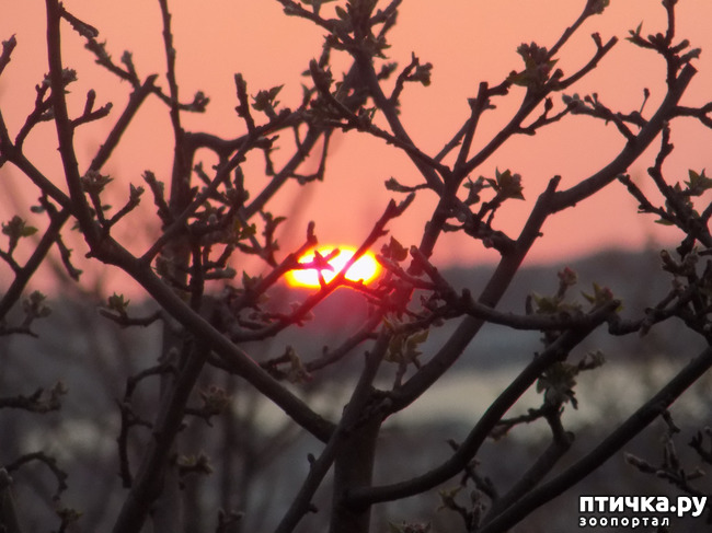 ���� 6: ����������