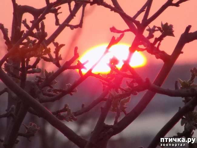 ���� 7: ����������