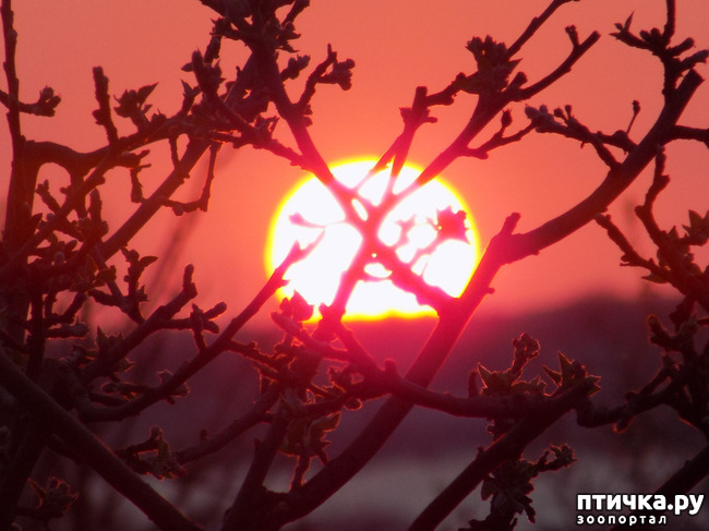 ���� 8: ����������