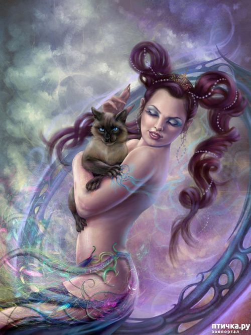 ���� 1: ��������