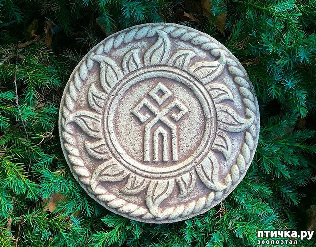 ���� 3: ���, ����!