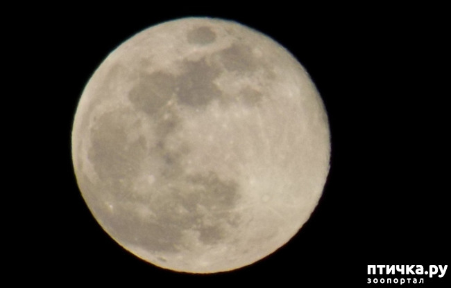 ���� 5: ����������