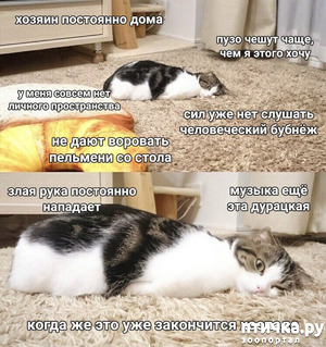 ����: ������� �����