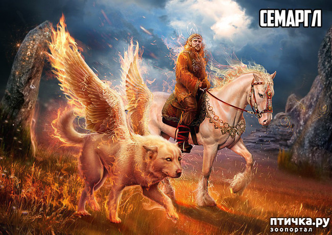 ���� 2: ��������