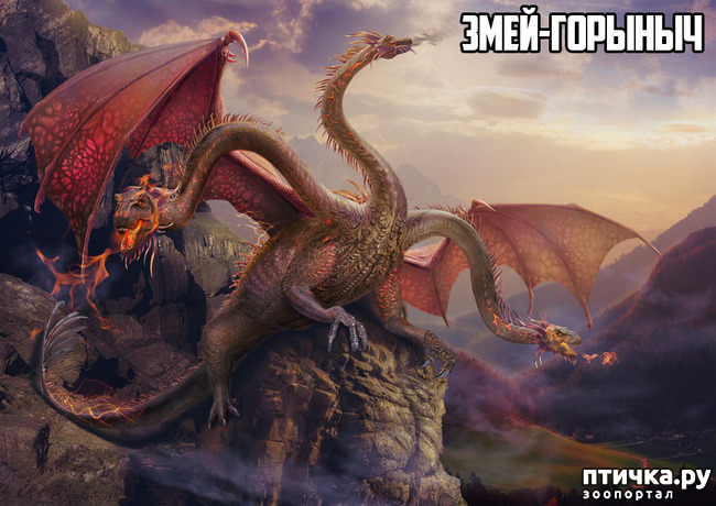 ���� 8: ��������