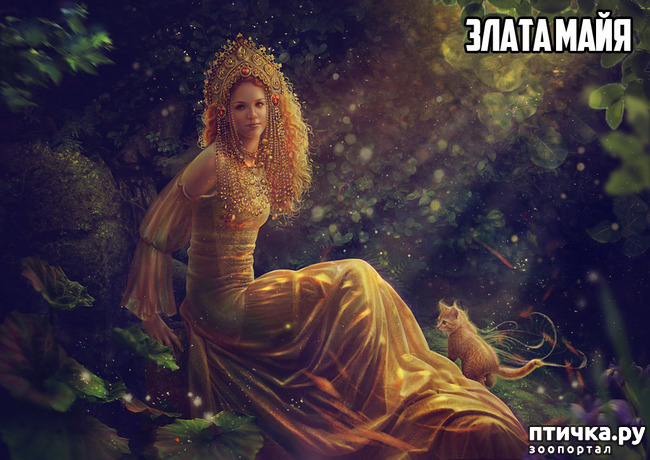 ���� 5: ��������