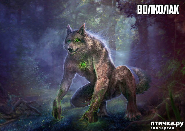 ���� 10: ��������