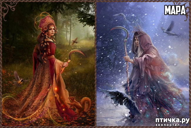 ���� 7: ��������