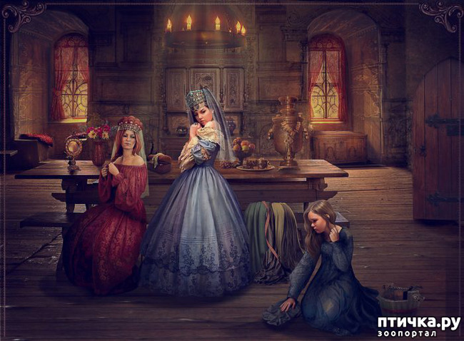 ���� 12: ��������