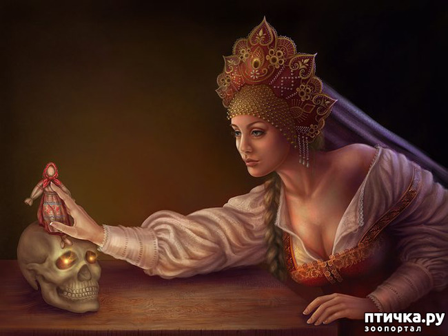 ���� 13: ��������