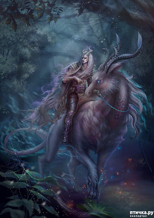 ���� 14: ��������