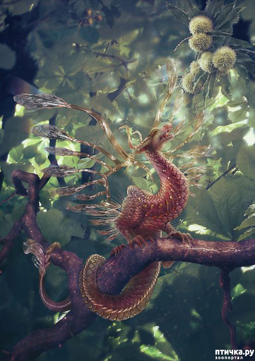 ���� 15: ��������