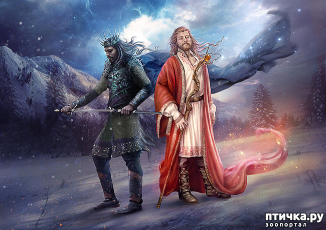 ���� 11: ��������