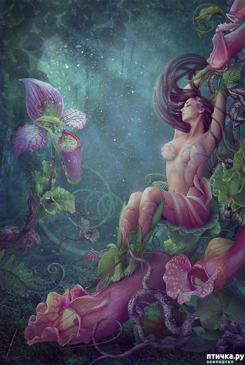 ���� 16: ��������