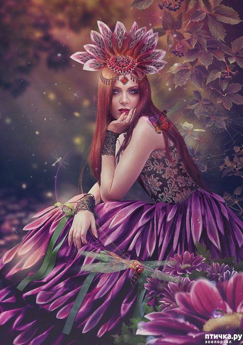 ���� 19: ��������