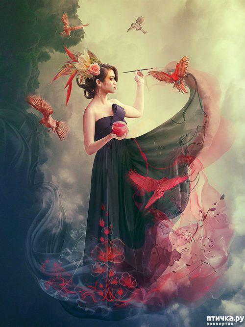 ���� 18: ��������