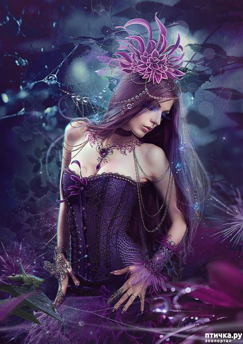 ���� 20: ��������