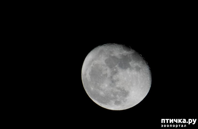 ���� 3: ����������