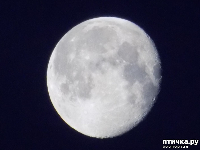 ���� 4: ����������