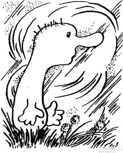 ���� 1: � ������� �����, � ������������ ���!