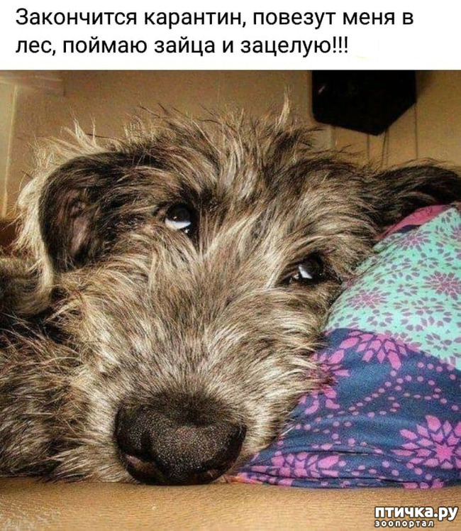 ���� 1: ����� �������� ������...?