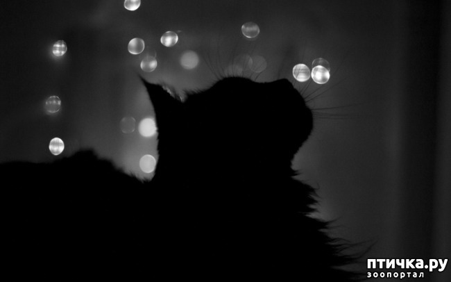 ���� 1: ����� ����