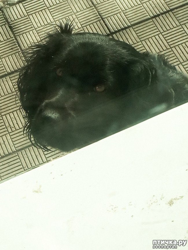 ���� 2: ������ ����. ���