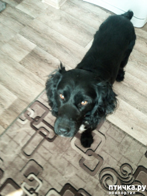 ����: ������ ����. ���