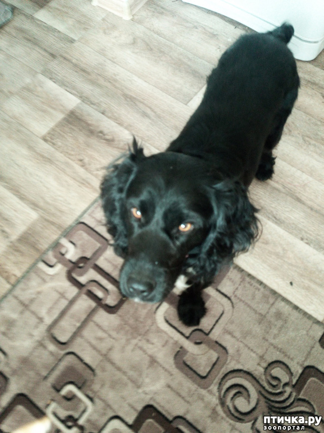 ���� 1: ������ ����. ���