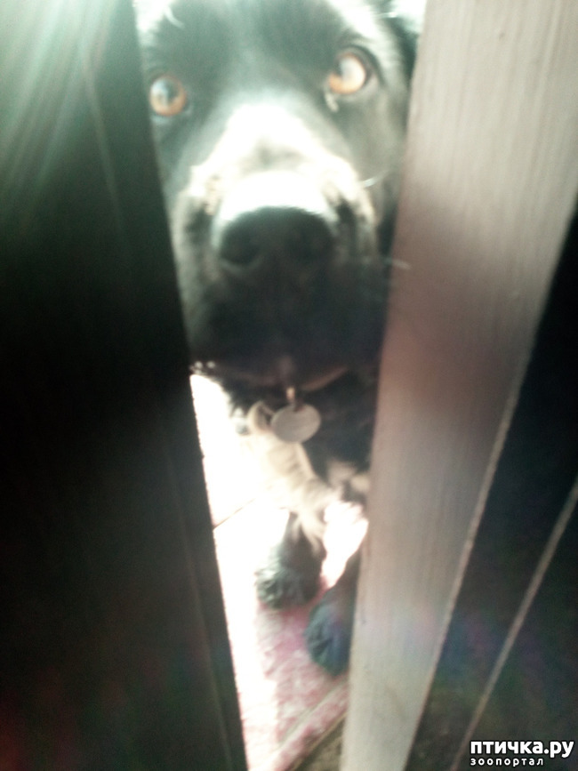 ���� 3: ������ ����. ���