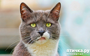 ����: "������� ��� ���� �� ������, ����������� ����������, ��������� ������� � �� ����������� ����".