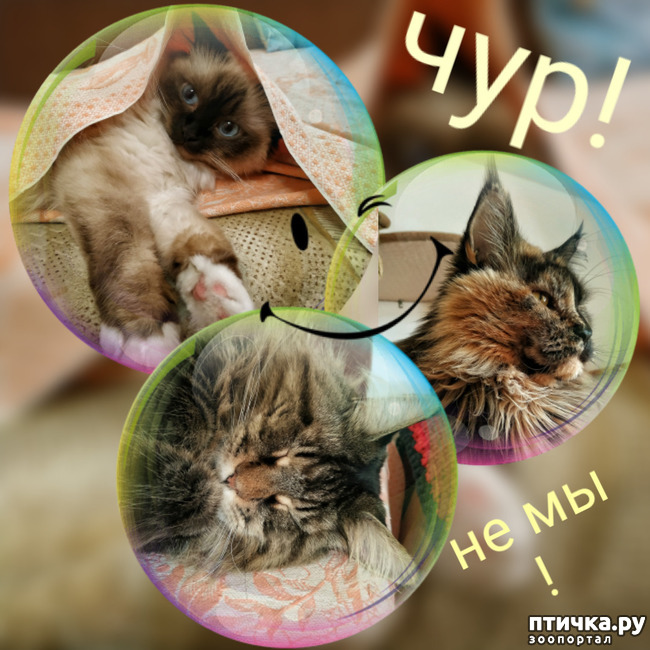 ���� 1: ���, ����!