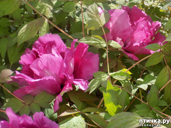 ���� 2: ������� �������� ������� � �������