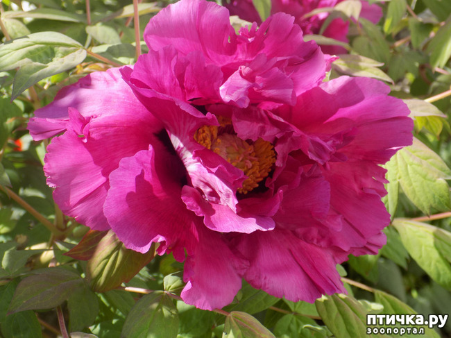 ���� 3: ������� �������� ������� � �������