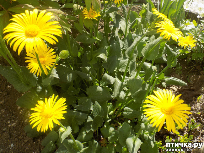 ���� 4: ������� �������� ������� � �������