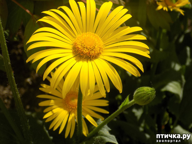 ���� 5: ������� �������� ������� � �������