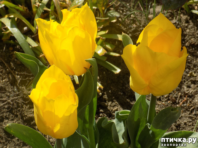 ���� 6: ������� �������� ������� � �������