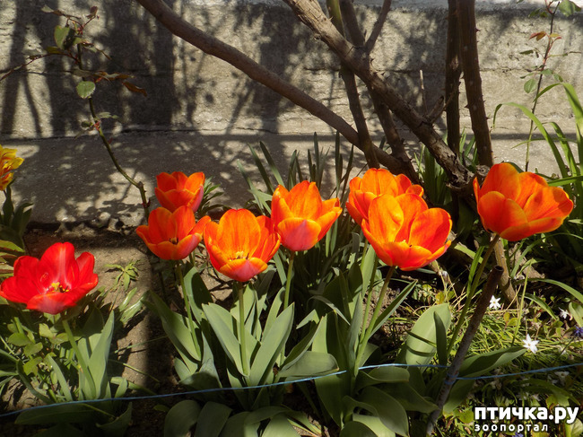 ���� 8: ������� �������� ������� � �������